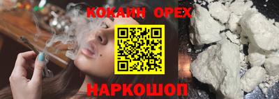 сатива Будённовск
