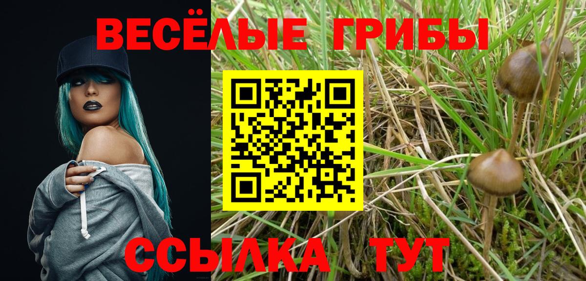 Раменское  Псилоцибиновые грибы Magic Shrooms  Вход с VPN 