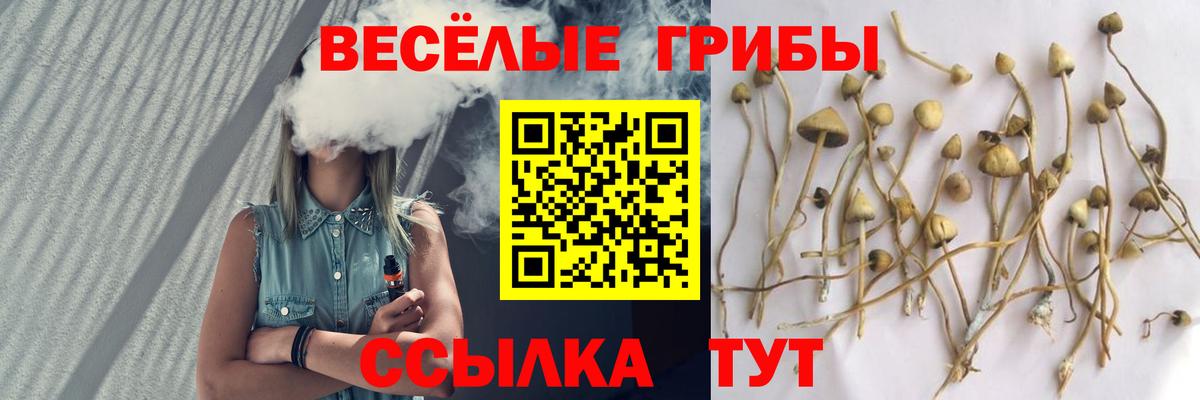 Псилоцибиновые грибы ЛСД Раменское